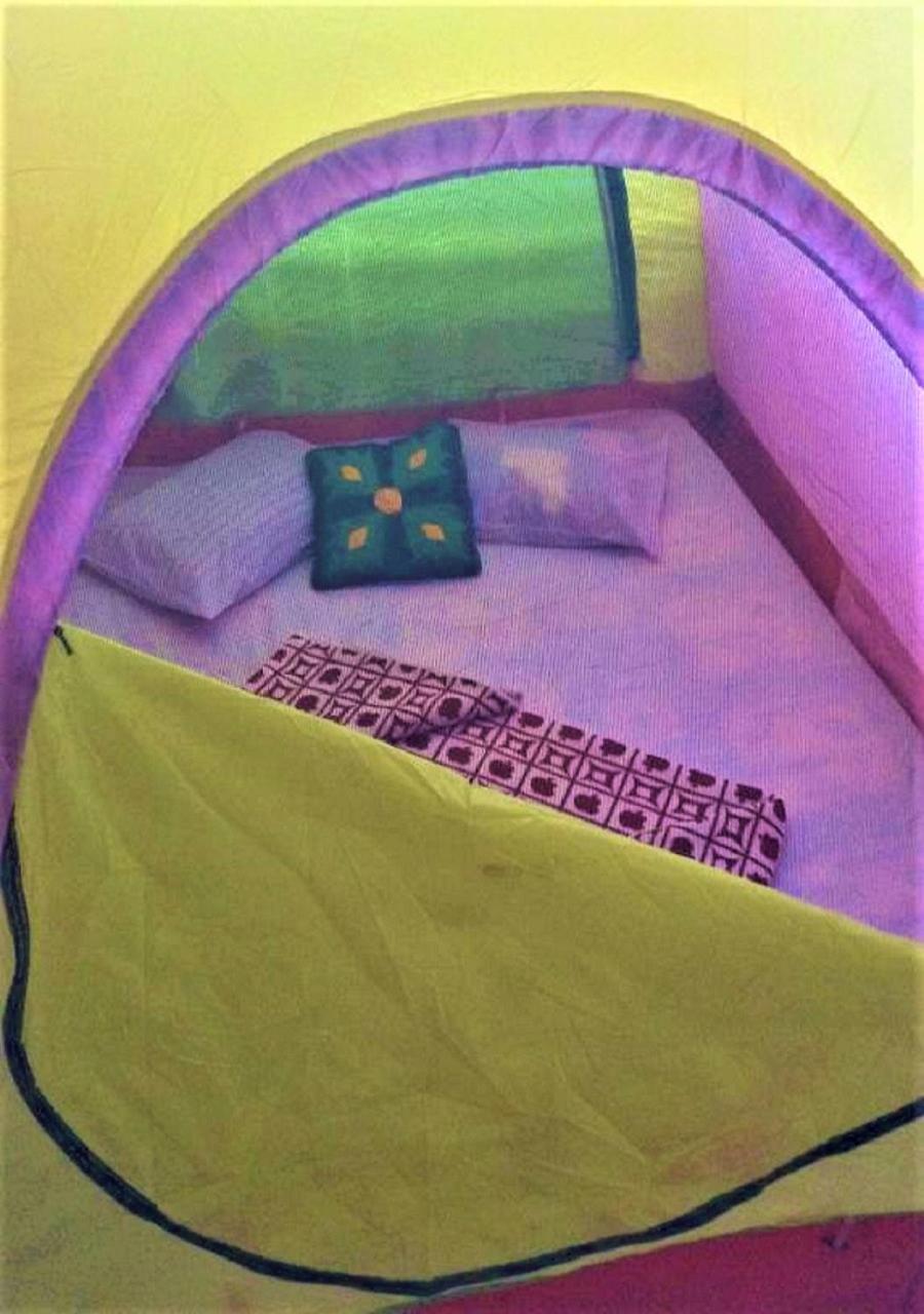 Ella Camping Resort Kültér fotó
